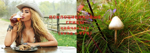 соль ск Богородицк