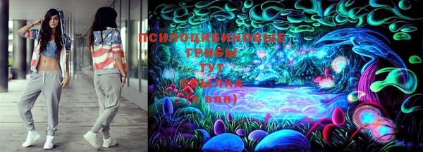 тгк Богородск