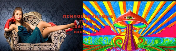 тгк Богородск