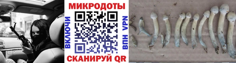 Купить  Белореченск  Галлюциногенные грибы Psilocybine cubensis 
