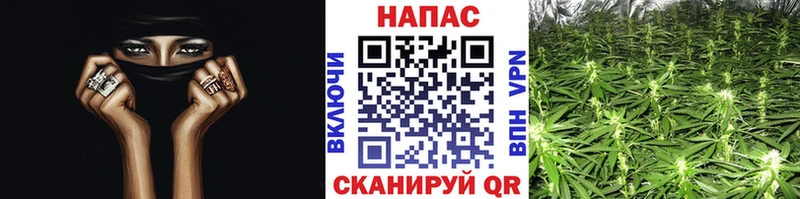 Марихуана MAZAR Купить где Белореченск